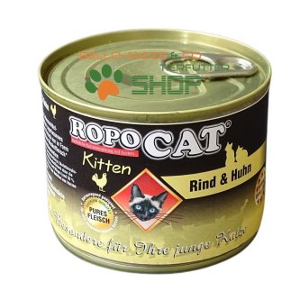 RopoCat Kitten für junge Katzen