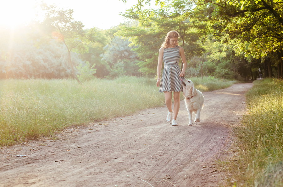Frau läuft mit Hund auf einem Gehweg im Wald