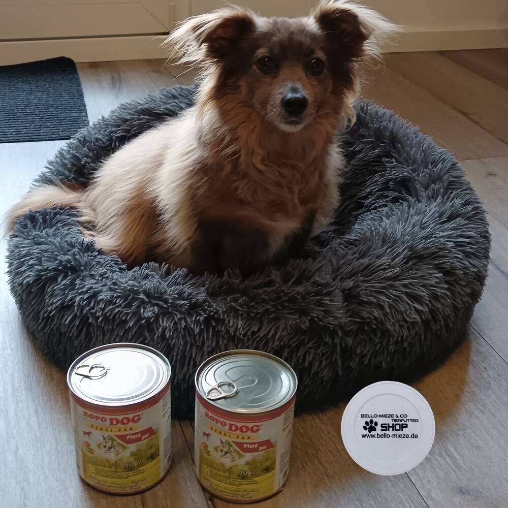 Nassfutter Hund