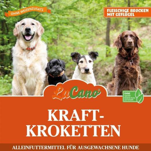 LuCano Kraft - Krokette | Trockenfutter | fleischige Brocken mit Geflügel | ohne zugesetztem Weizen 15 kg