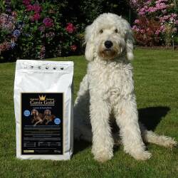 Canis Gold Senior Lamm + Kartoffel, 53 % Fleisch mit Gelenkfit 3 x 10 kg