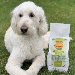 1 kg Caldor Maintenance Rentier + Kartoffel |Hunde Trockenfutter ohne Getreidezusatz