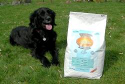 12 kg Caldor Maintenance Seefisch Kartoffel | Hunde Trockenfutter ohne Getreidezusatz