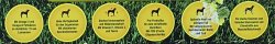 CaniWulf Herbal Mustang | Pferd mit Erdapfel und Kr&auml;utern | Hunde Trockenfutter ohne Getreidezusatz