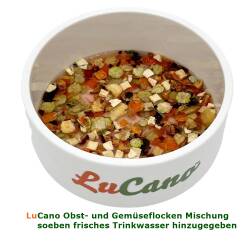 2 x 10 kg LuCano Obst + Gemüseflocken Mischung | Hunde BARF Ergänzung