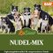 LuCano Nudel - Mix | BARF Erg&auml;nzungsfutter f&uuml;r Hunde