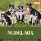 LuCano Nudel - Mix | BARF Ergänzungsfutter für Hunde  10 kg