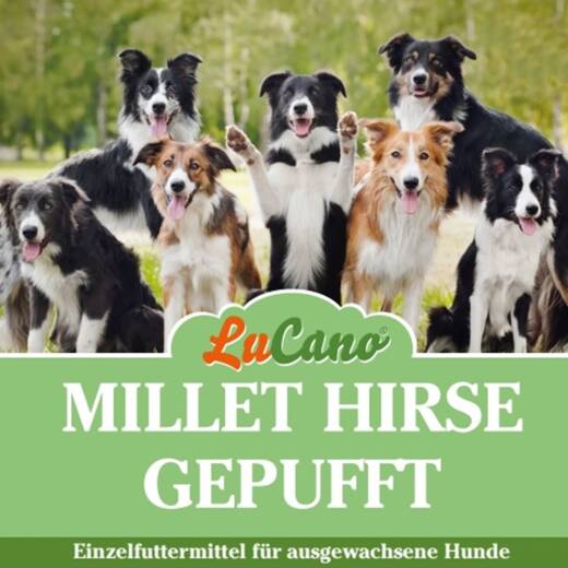 LuCano Millet Hirse gepufft | Einzelfuttermittel für Hunde