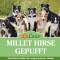 LuCano Millet Hirse gepufft | Einzelfuttermittel für Hunde 1 kg