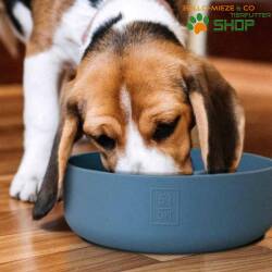 Napf für Hunde Silikon Classic